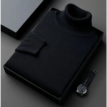 Alwin | Warmer Rollkragenpullover